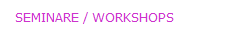 SEMINARE / WORKSHOPS